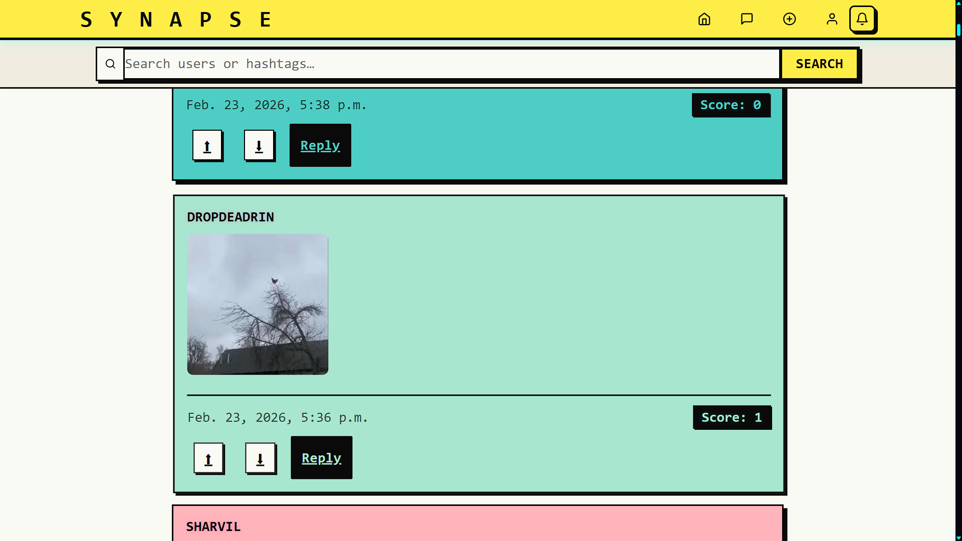Synapse feed